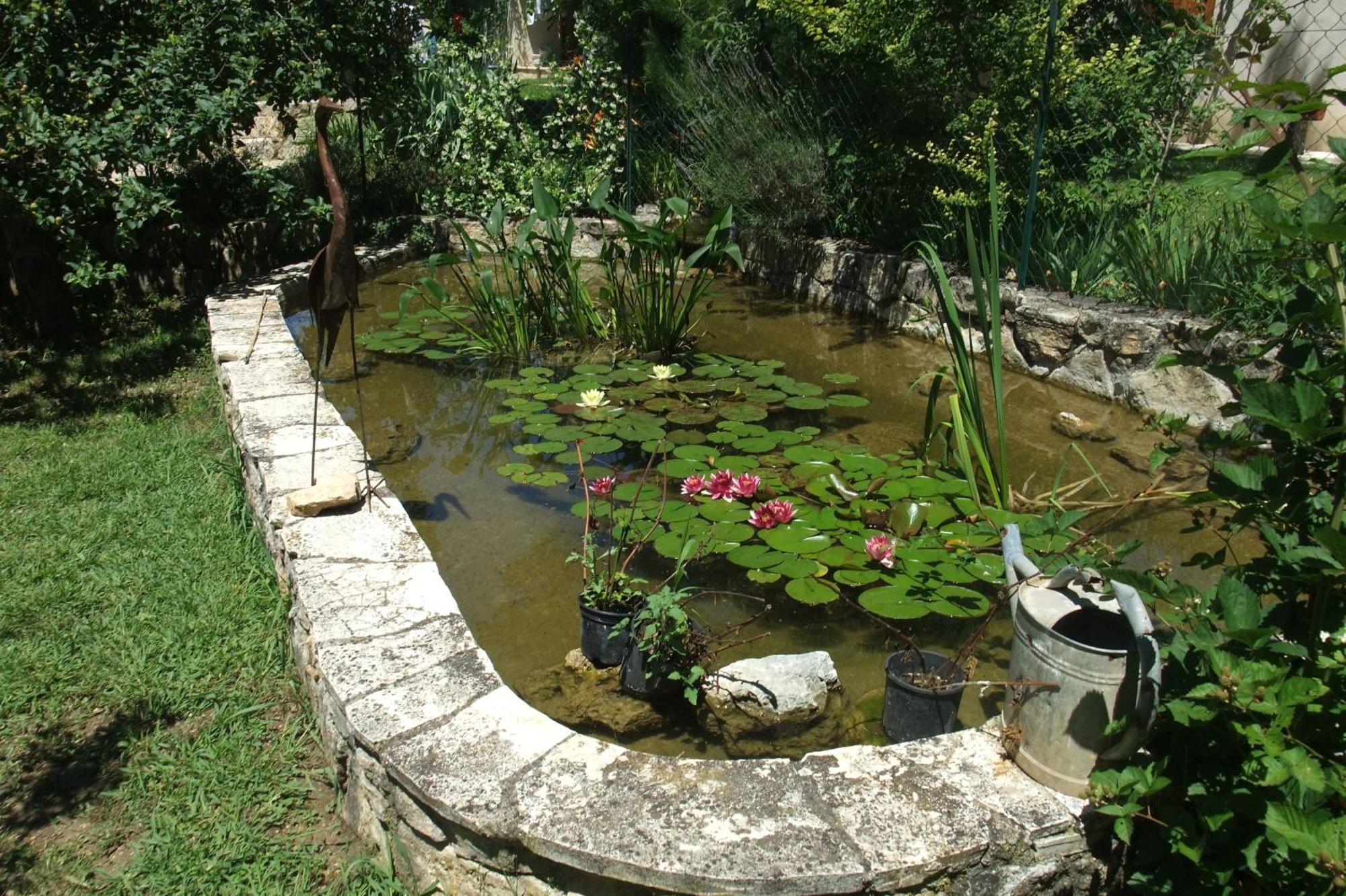Gite La Paillote Montauroux Luaran gambar
