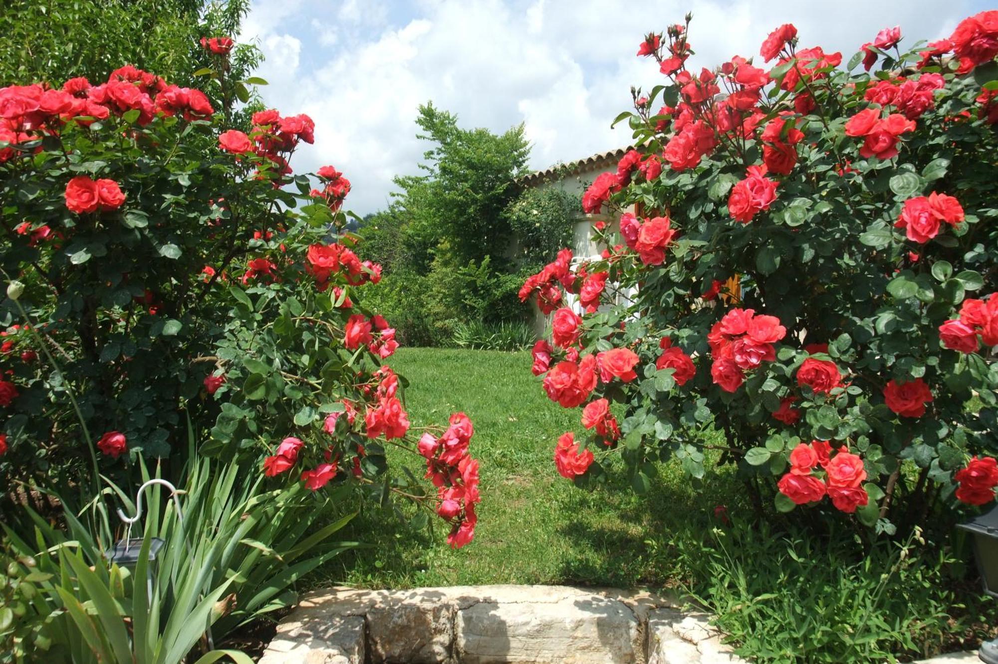 Gite La Paillote Montauroux Luaran gambar